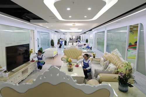 輕喜到家爆單現(xiàn)象揭示女性居家新需求